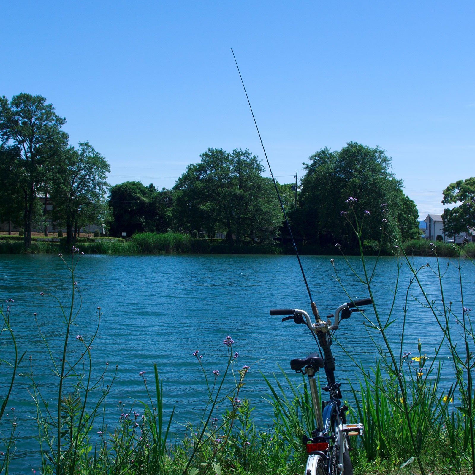 RH-100 Rod holder