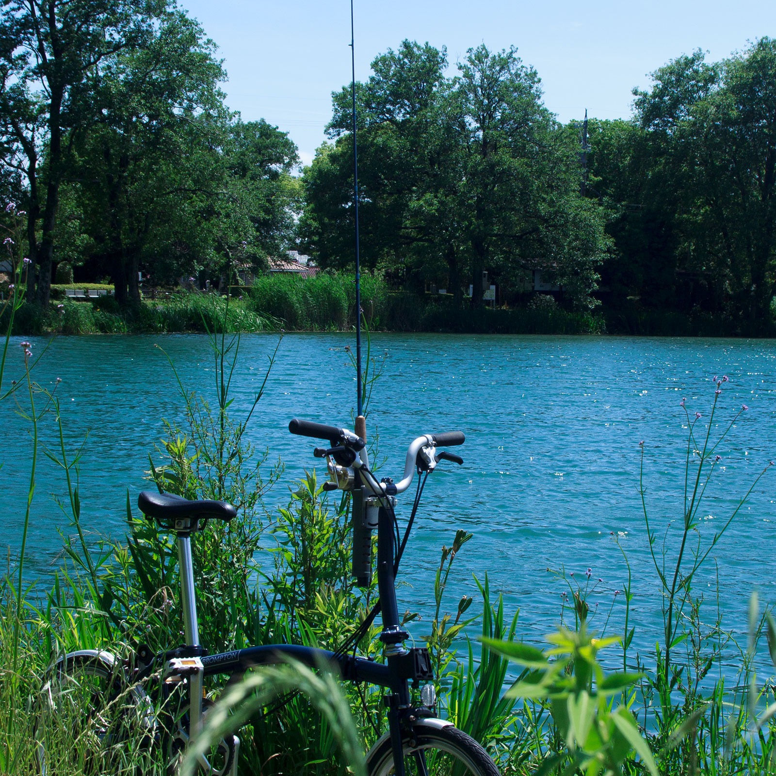 RH-100 Rod holder